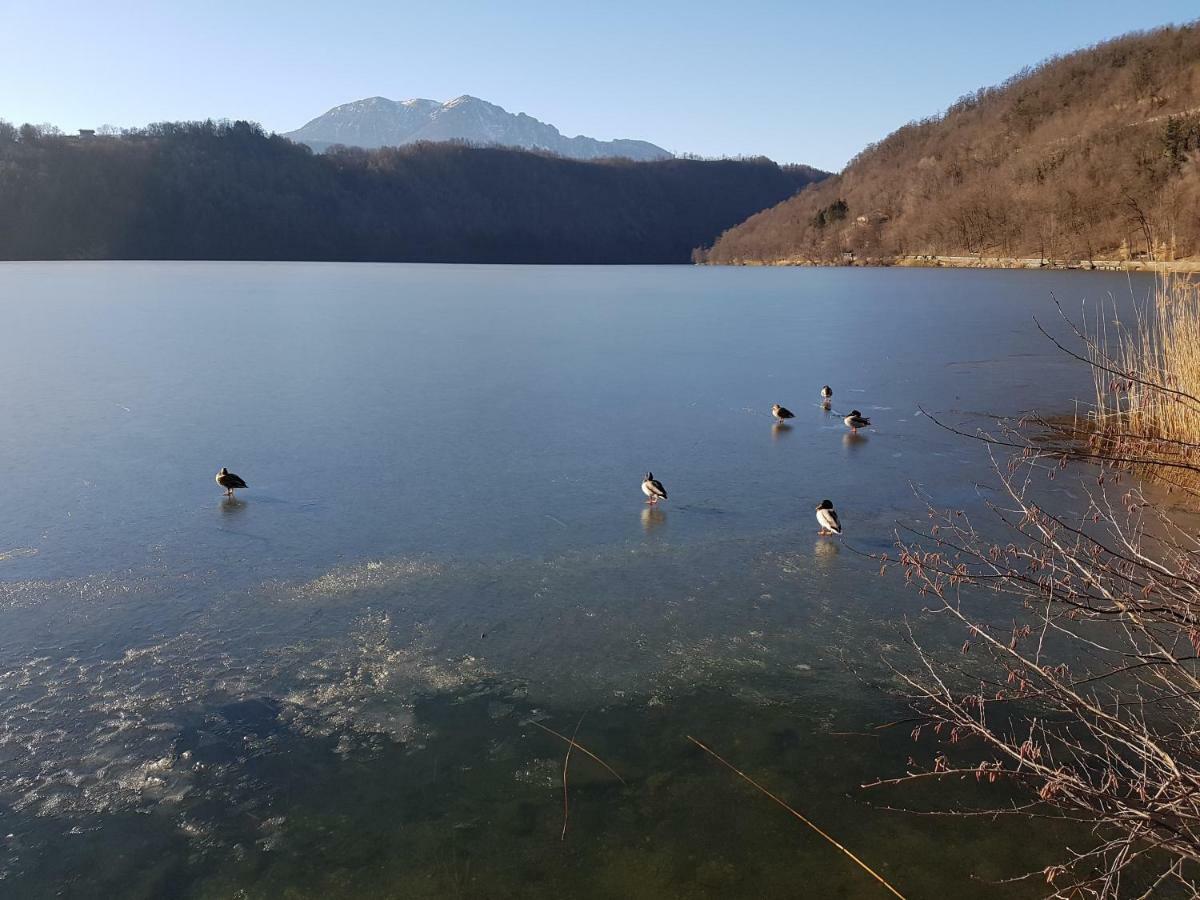 Appartamento Nido Левико-Терме Экстерьер фото